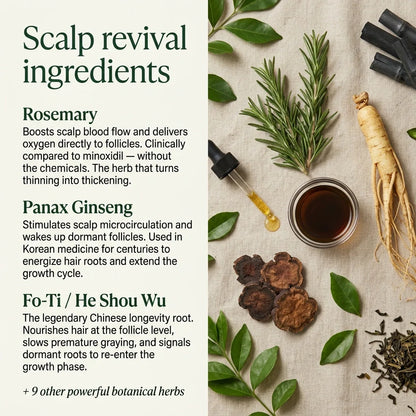 Korean Scalp Bar